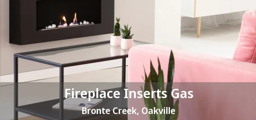 Fireplace Inserts Gas Bronte Creek, Oakville - ON Fireplace Inserts Gas Bronte Creek, Oakville - ON