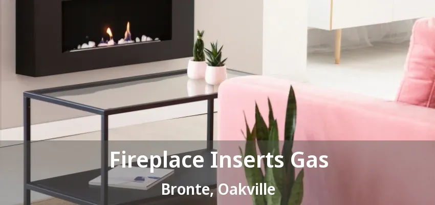 Fireplace Inserts Gas Bronte, Oakville - ON