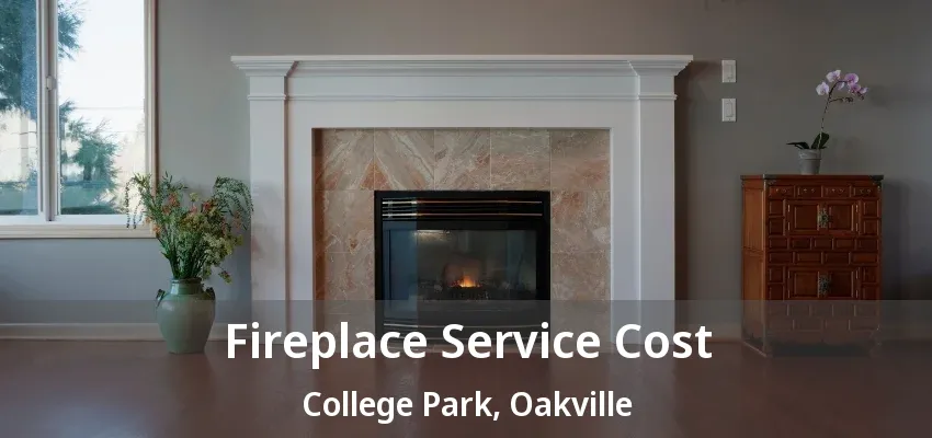 Fireplace Service Cost College Park, Oakville - ON Fireplace Service Cost College Park, Oakville - ON