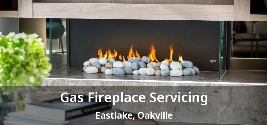 Gas Fireplace Servicing Eastlake, Oakville - ON