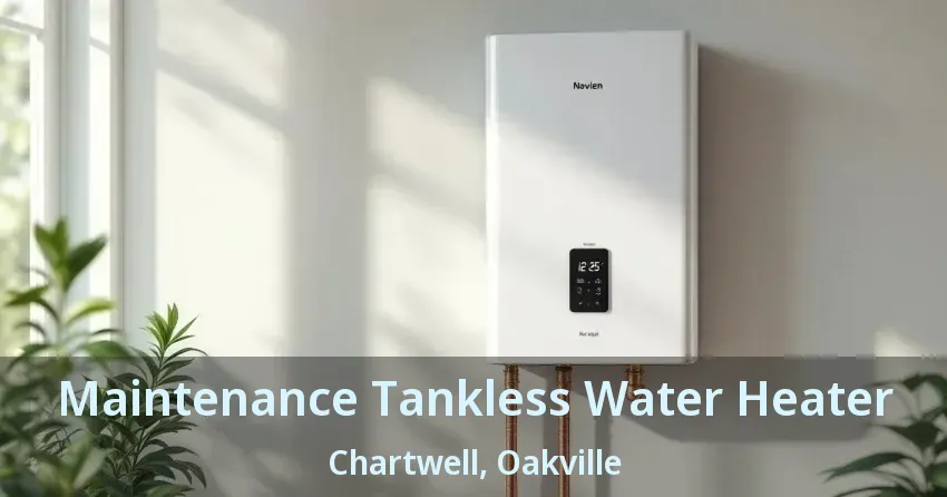 Maintenance Tankless Water Heater Chartwell, Oakville - ON