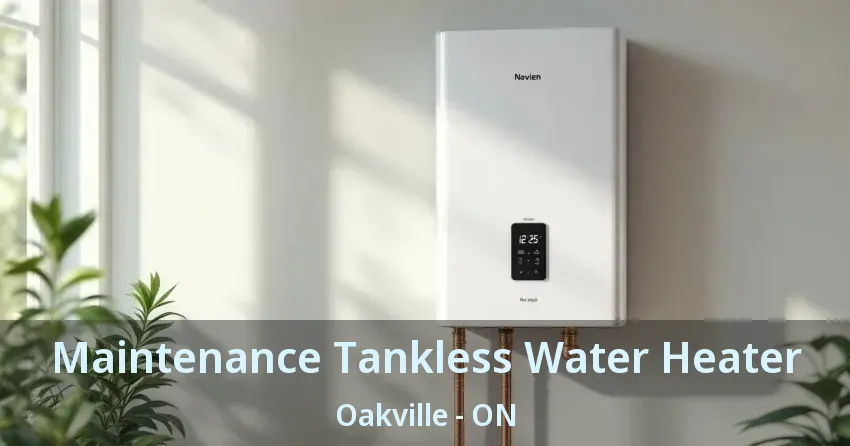 Maintenance Tankless Water Heater Oakville - ON