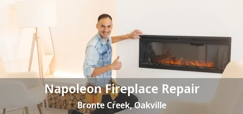 Napoleon Fireplace Repair Bronte Creek, Oakville - ON