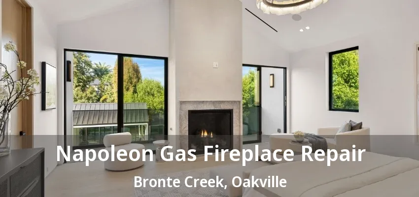 Napoleon Gas Fireplace Repair Bronte Creek, Oakville - ON