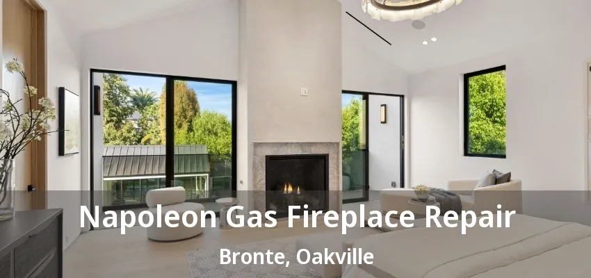 Napoleon Gas Fireplace Repair Bronte, Oakville - ON Napoleon Gas Fireplace Repair Bronte, Oakville - ON