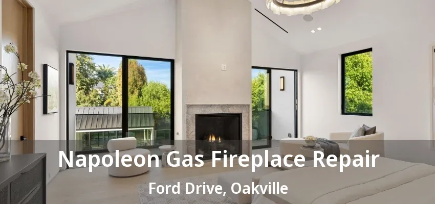 Napoleon Gas Fireplace Repair Ford Drive, Oakville - ON
