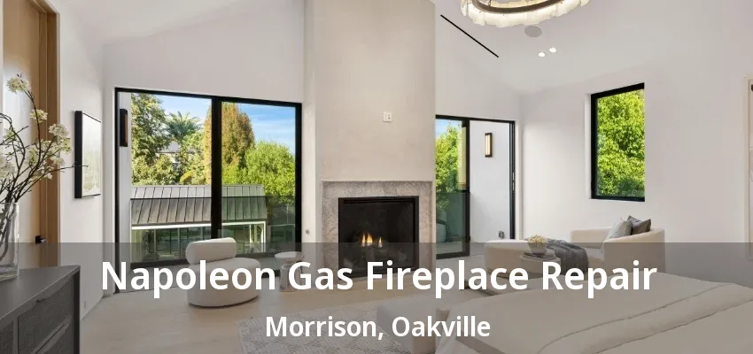 Napoleon Gas Fireplace Repair Morrison, Oakville - ON Napoleon Gas Fireplace Repair Morrison, Oakville - ON
