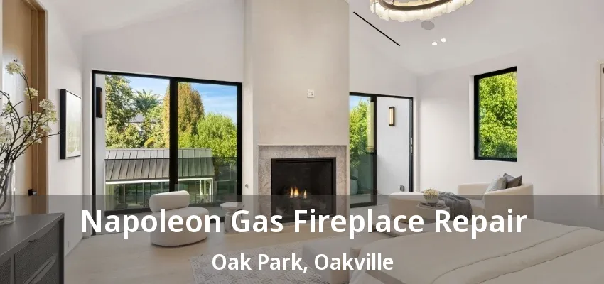 Napoleon Gas Fireplace Repair Oak Park, Oakville - ON Napoleon Gas Fireplace Repair Oak Park, Oakville - ON