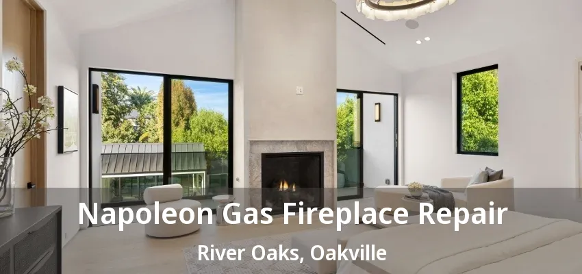 Napoleon Gas Fireplace Repair River Oaks, Oakville - ON