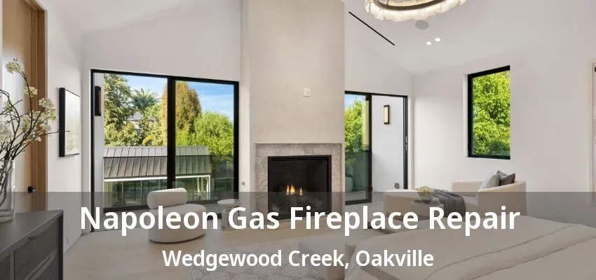 Napoleon Gas Fireplace Repair Wedgewood Creek, Oakville - ON