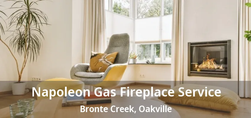 Napoleon Gas Fireplace Service Bronte Creek, Oakville - ON Napoleon Gas Fireplace Service Bronte Creek, Oakville - ON