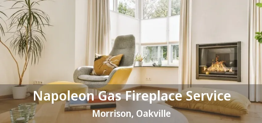 Napoleon Gas Fireplace Service Morrison, Oakville - ON Napoleon Gas Fireplace Service Morrison, Oakville - ON
