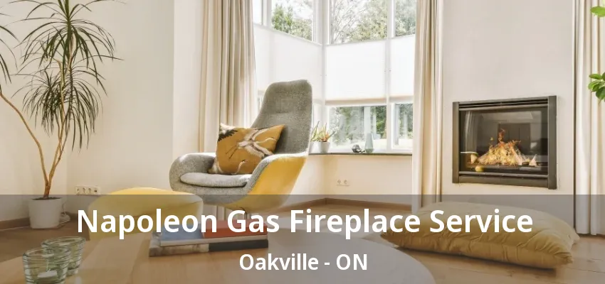 Napoleon Gas Fireplace Service Oakville - ON