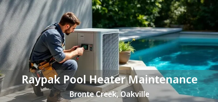 Raypak Pool Heater Maintenance Bronte Creek, Oakville - ON Raypak Pool Heater Maintenance Bronte Creek, Oakville - ON