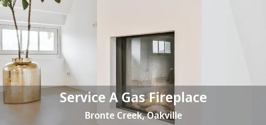 Service A Gas Fireplace Bronte Creek, Oakville - ON