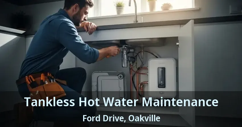 Tankless Hot Water Maintenance Ford Drive, Oakville - ON