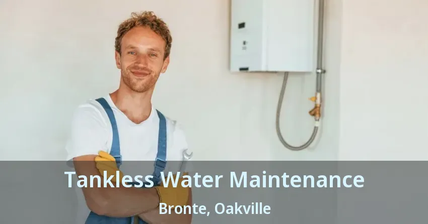 Tankless Water Maintenance Bronte, Oakville - ON Tankless Water Maintenance Bronte, Oakville - ON