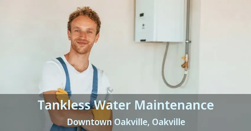 Tankless Water Maintenance Downtown Oakville, Oakville - ON