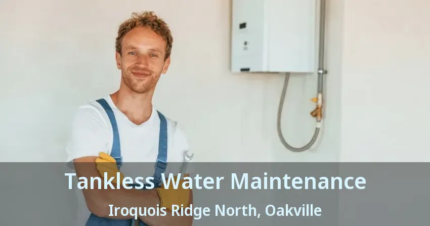 Tankless Water Maintenance Iroquois Ridge North, Oakville - ON
