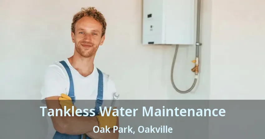 Tankless Water Maintenance Oak Park, Oakville - ON