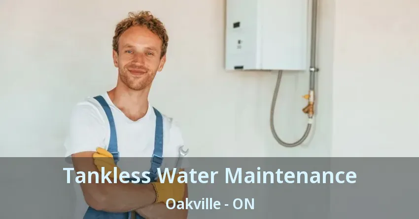 Tankless Water Maintenance Oakville - ON