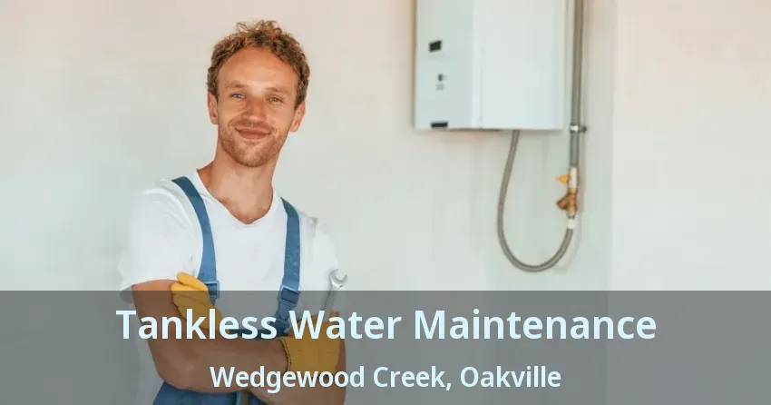 Tankless Water Maintenance Wedgewood Creek, Oakville - ON