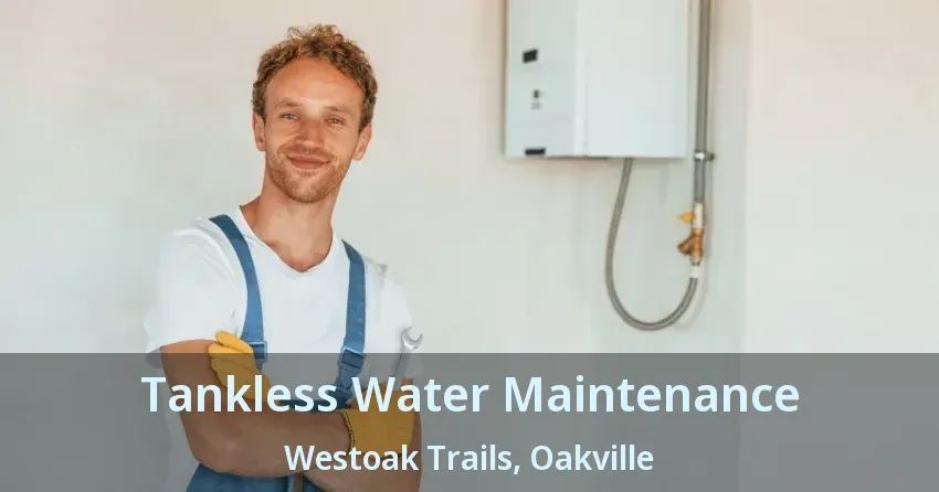 Tankless Water Maintenance Westoak Trails, Oakville - ON Tankless Water Maintenance Westoak Trails, Oakville - ON